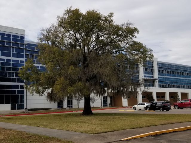 Photo of San Jacinto College-North Campus