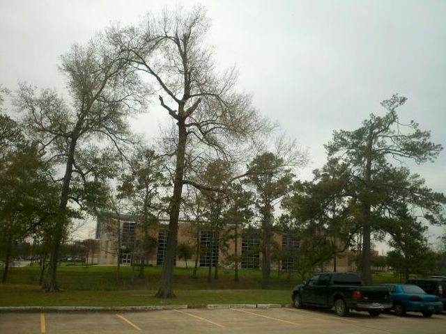 Photo of San Jacinto College-North Campus
