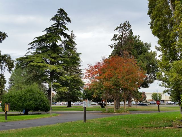 Photo of San Joaquin Delta College