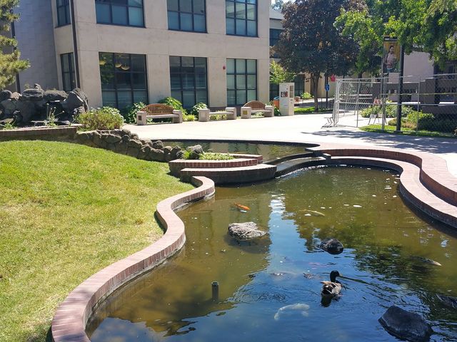 Photo of San Joaquin Delta College
