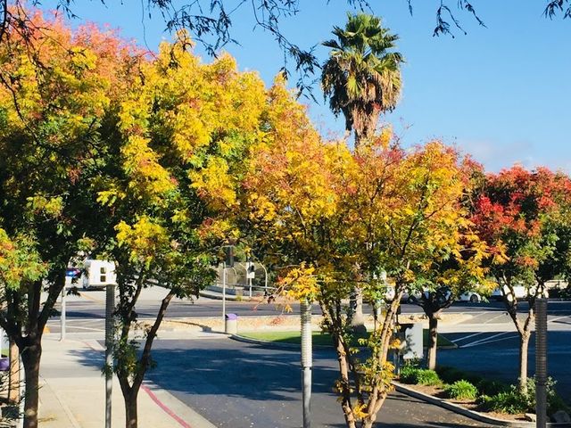 Photo of San Jose City College