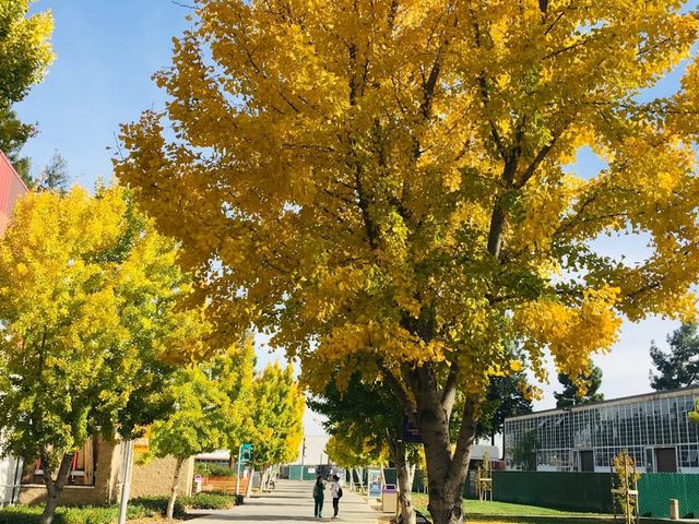 Photo of San Jose City College