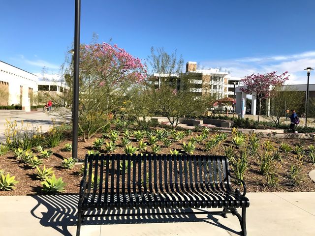 Photo of Santa Ana College