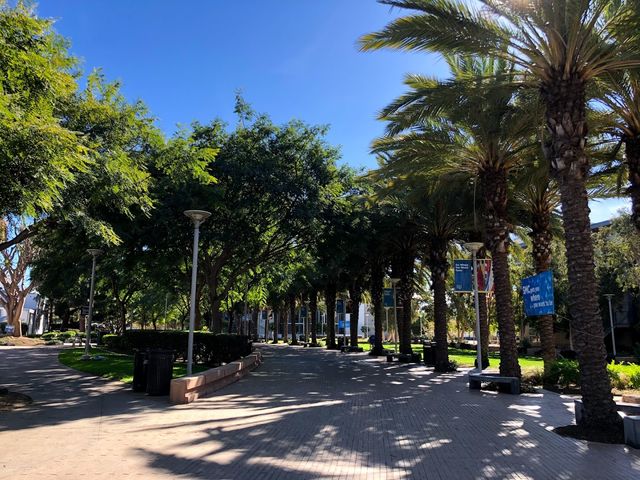 Photo of Santa Monica College