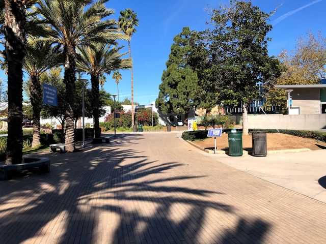 Photo of Santa Monica College