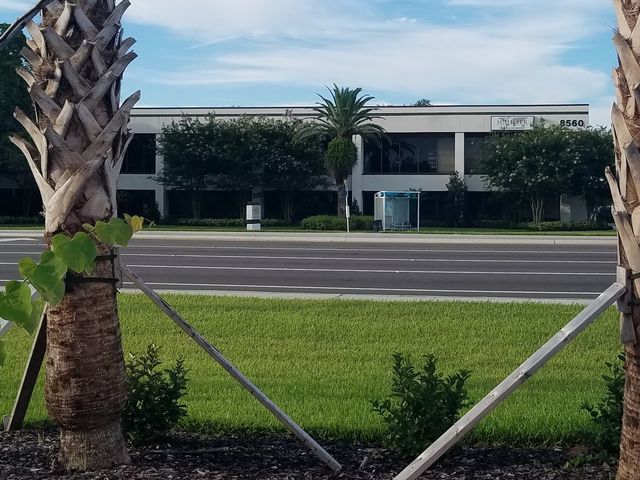 Photo of Schiller International University