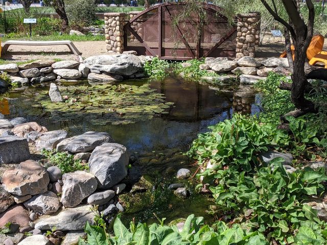 Photo of Scottsdale Community College