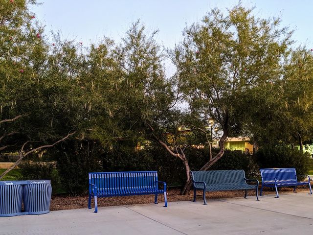 Photo of Scottsdale Community College