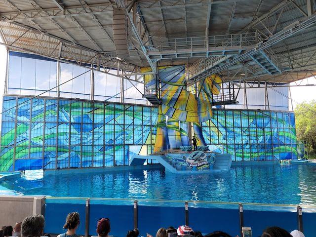 Photo of Seaworld San Antonio