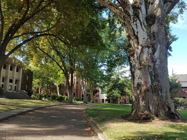 Photo of Seattle Pacific University