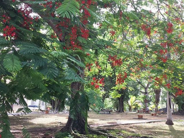 Photo of Seminario Evangelico de Puerto Rico