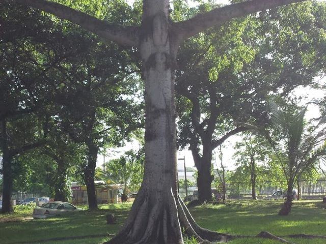 Photo of Seminario Evangelico de Puerto Rico