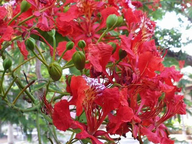 Photo of Seminario Evangelico de Puerto Rico