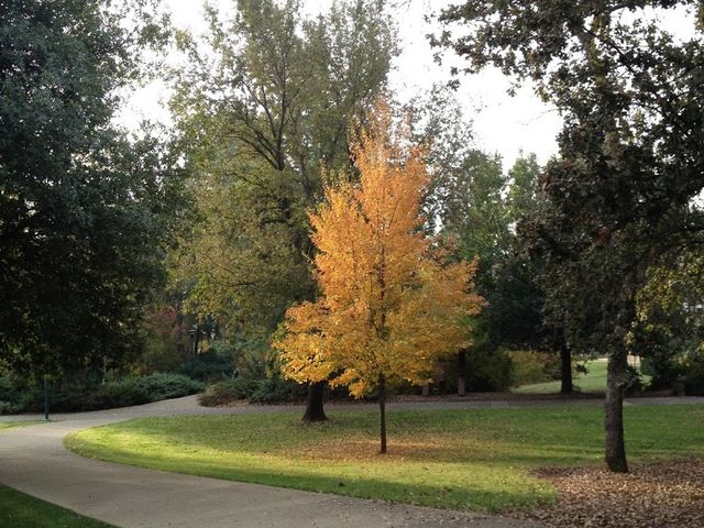 Photo of Shasta College