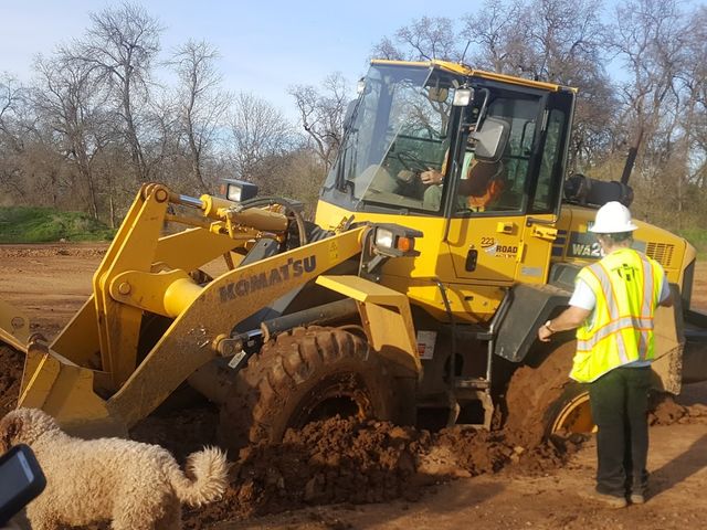 Photo of Shasta College