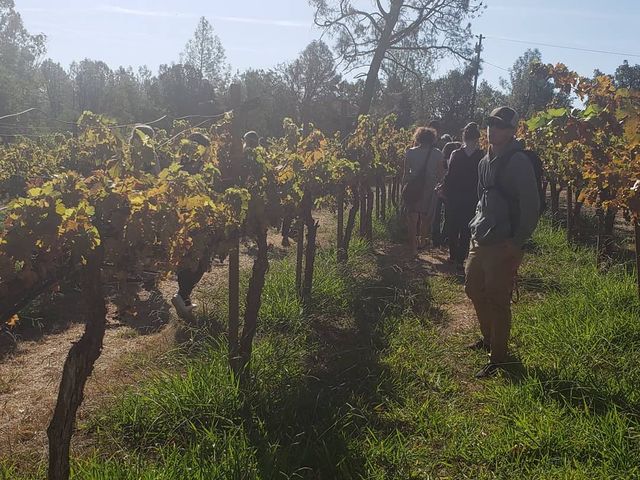 Photo of Shasta College