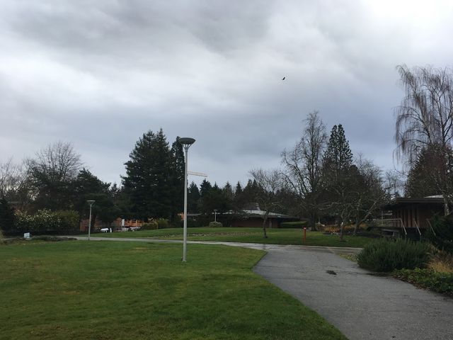 Photo of Shoreline Community College