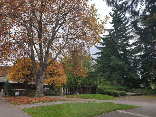 Photo of Shoreline Community College