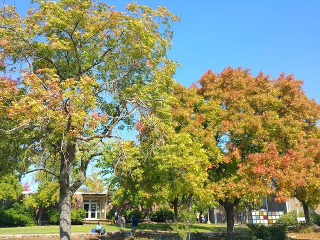 Photo of Sierra College