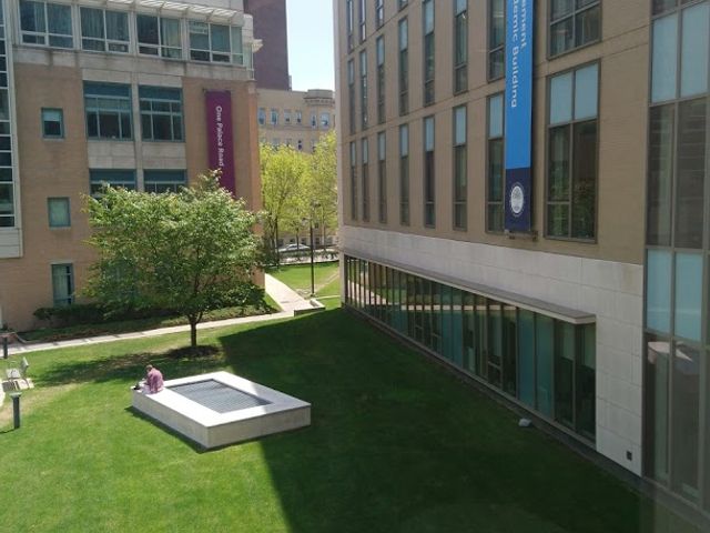 Photo of Simmons University