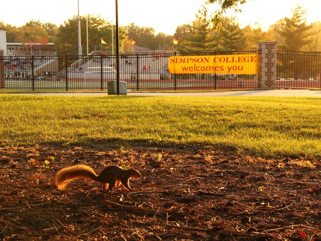 Photo of Simpson College