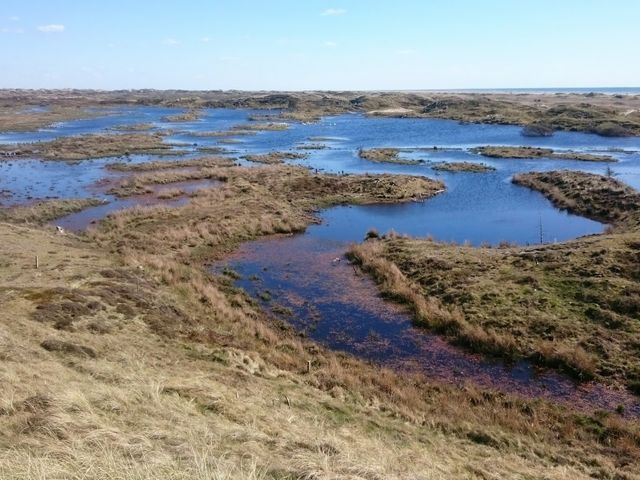 Photo of Skovlegeplads
