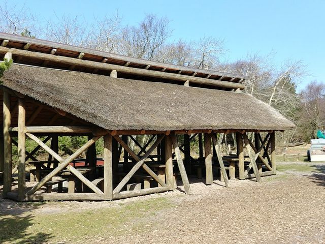 Photo of Skovlegeplads