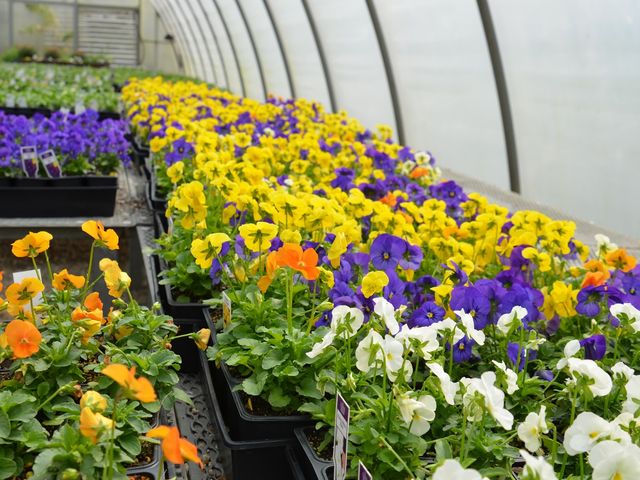 Photo of Spartanburg Community College