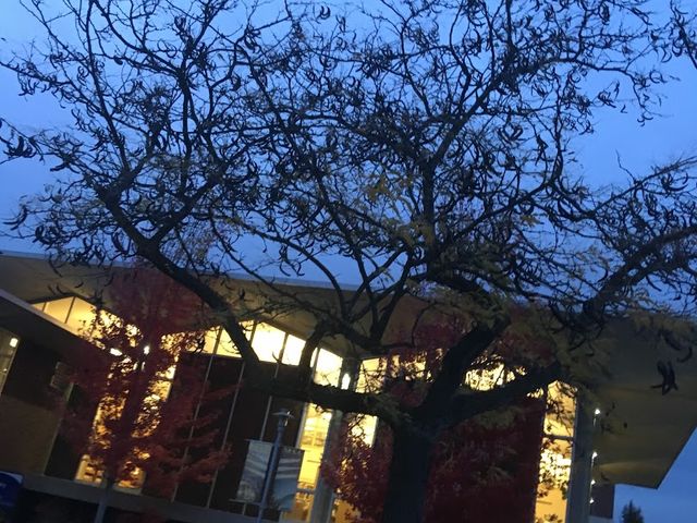 Photo of Spokane Falls Community College