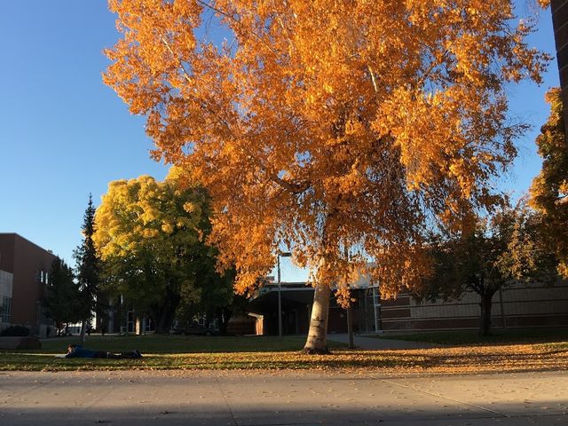 Photo of Spokane Falls Community College