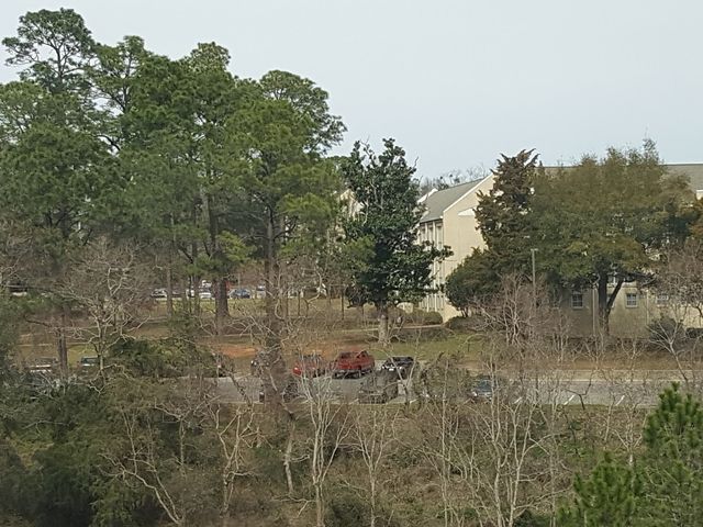 Photo of Spring Hill College