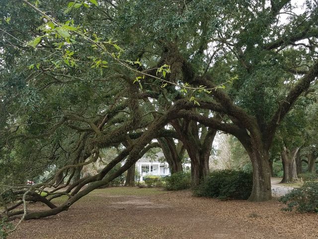 Photo of Spring Hill College