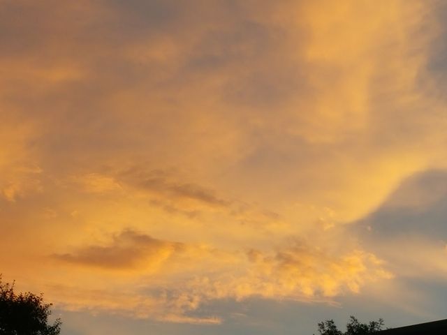 Photo of Spring Hill College