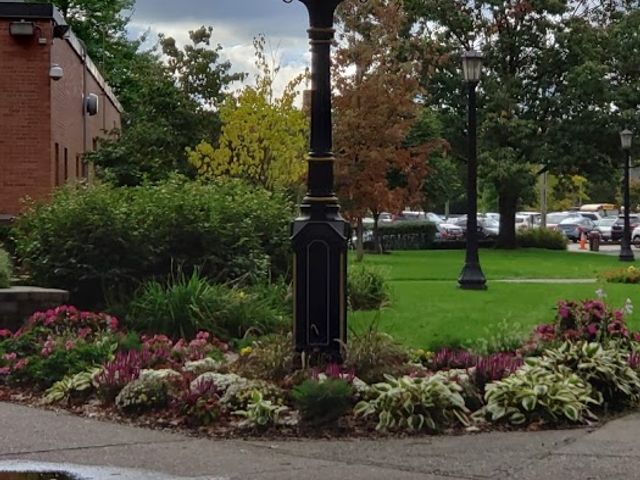 Photo of Springfield College