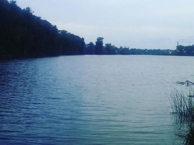 Photo of Springfield College