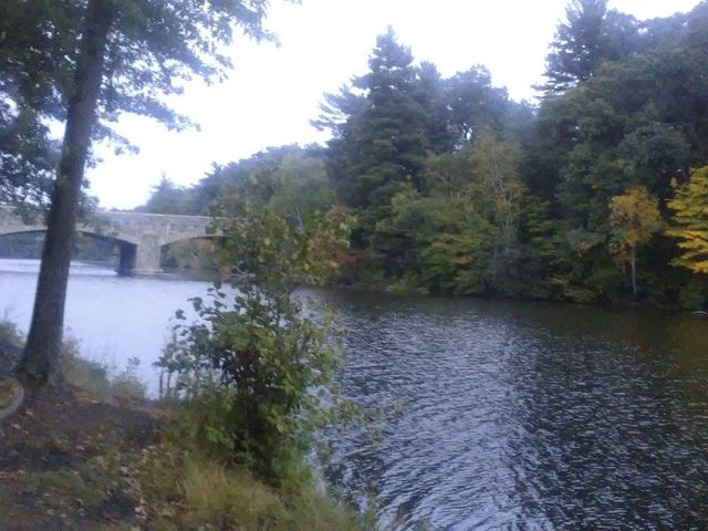 Photo of Springfield College