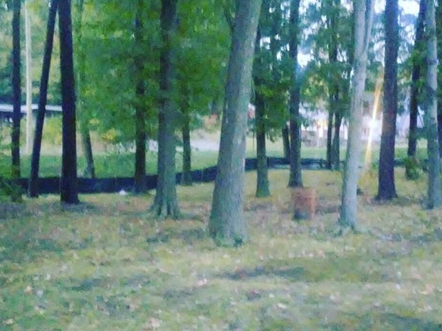 Photo of Springfield College