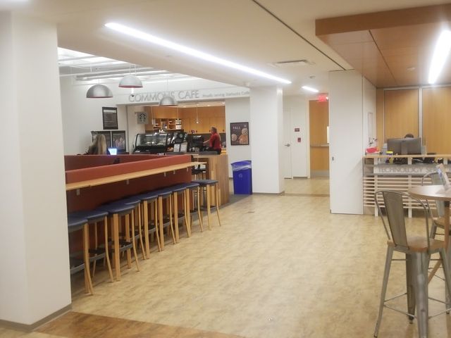 Photo of Springfield College