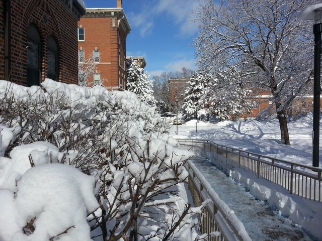 Photo of St Catherine University