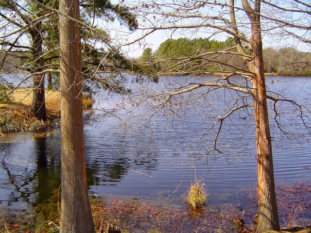 Photo of St. Andrews University