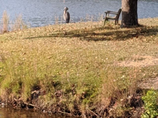 Photo of St. Andrews University