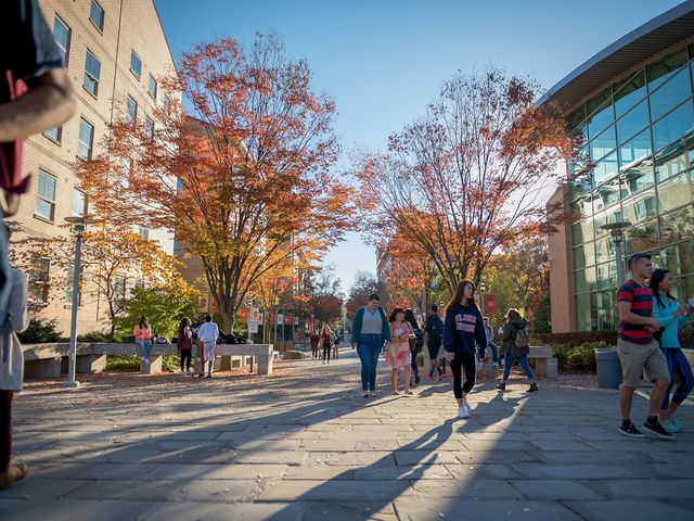 Photo of St John's University-New York