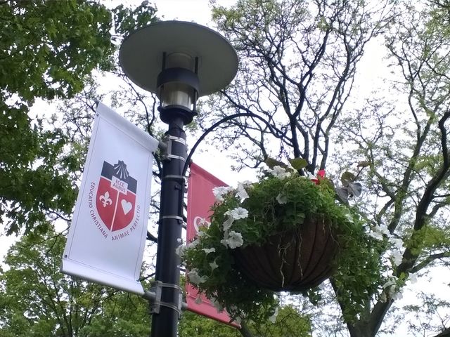 Photo of St John's University-New York