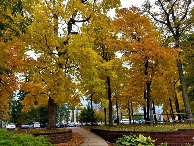 Photo of St Olaf College