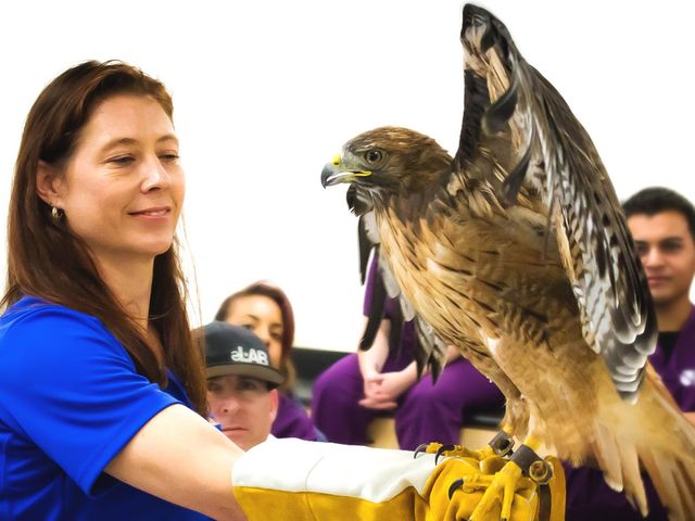 Photo of Stanbridge University