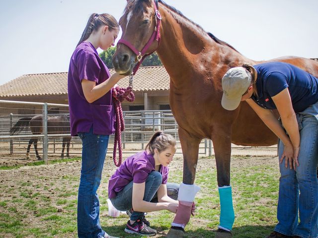 Photo of Stanbridge University