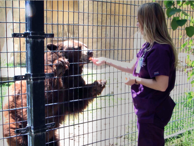 Photo of Stanbridge University