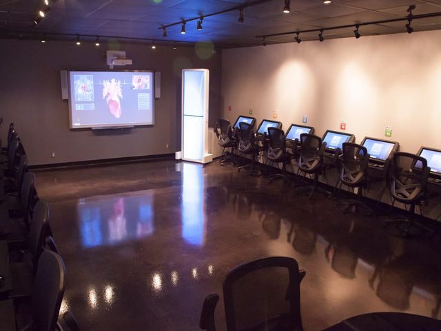 Photo of Stanbridge University-Los Angeles