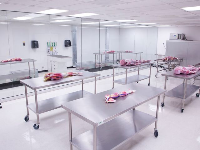 Photo of Stanbridge University-Los Angeles