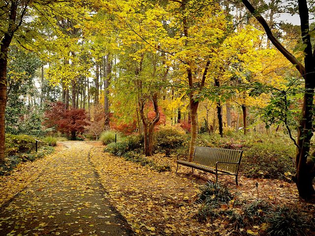 Photo of Stephen F Austin State University